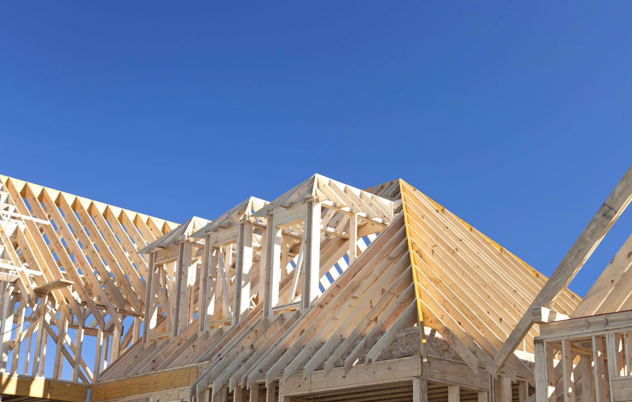 Framing project gallery example